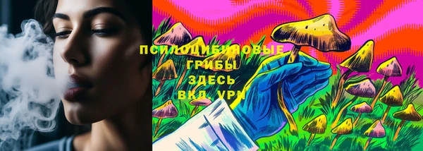 синтетический гашиш Алексин