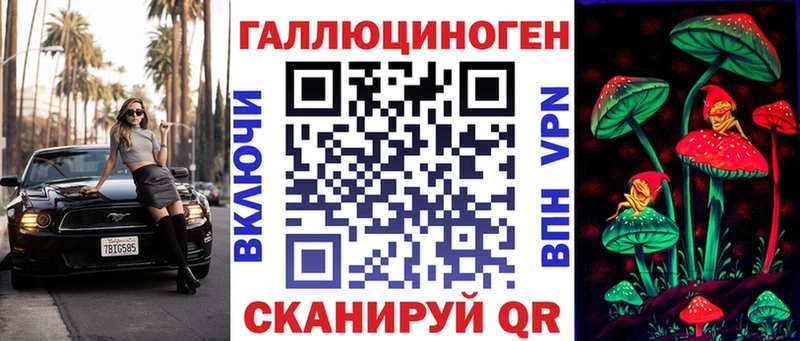mega tor  Кизилюрт  Галлюциногенные грибы Psilocybine cubensis 